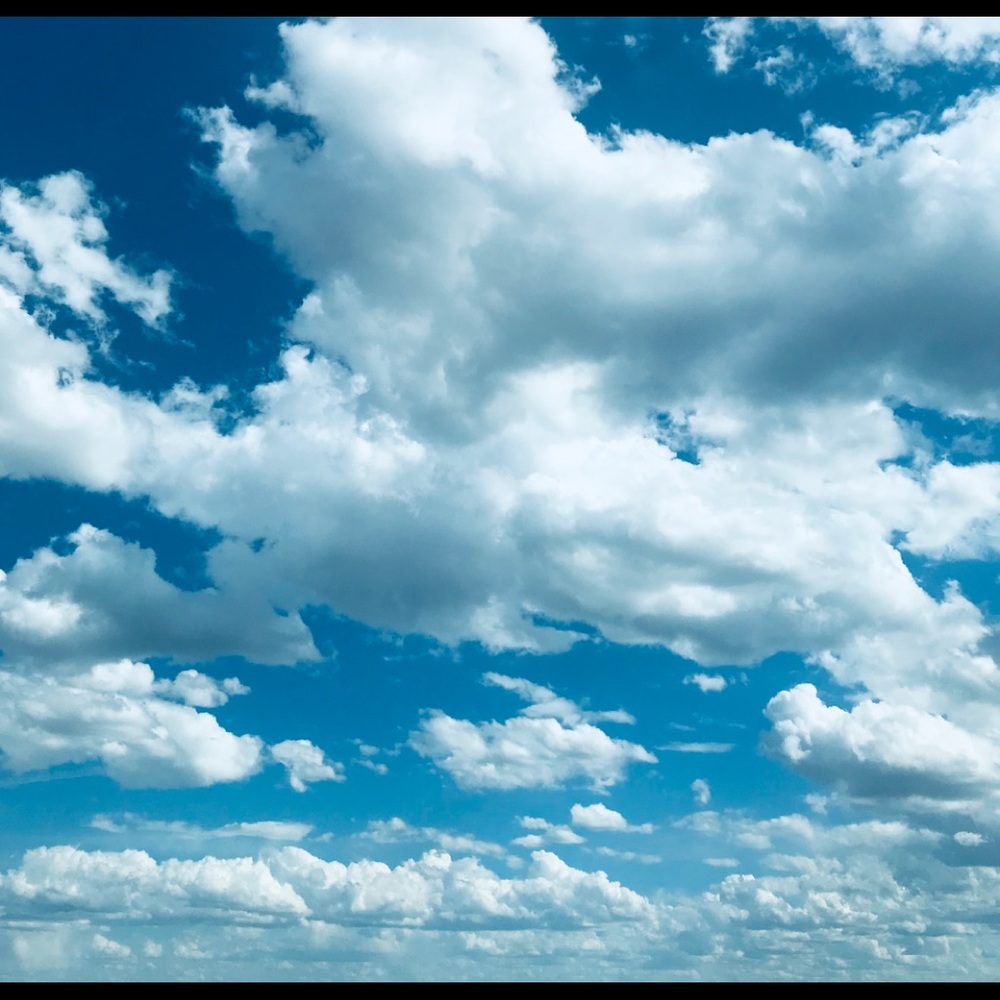 Meet your Posher, Blanca